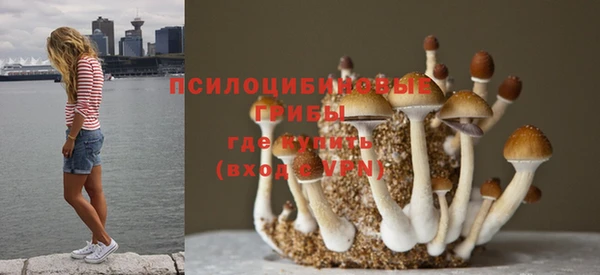 крисы Аркадак