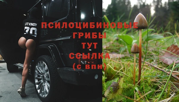 не бодяженный Армянск