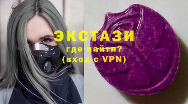 гашик Пестово