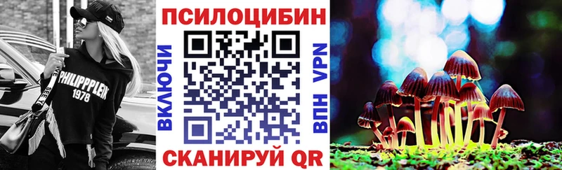 Галлюциногенные грибы Psilocybine cubensis  ОМГ ОМГ сайт  Протвино 