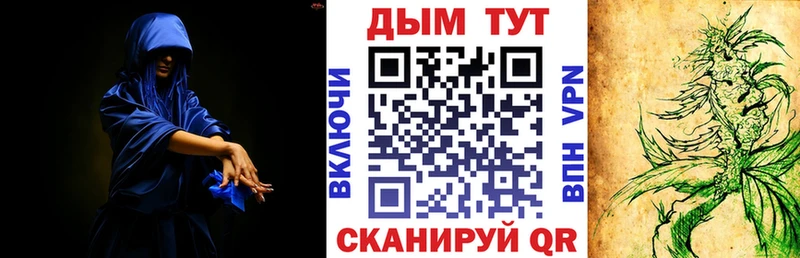 Конопля сатива Протвино